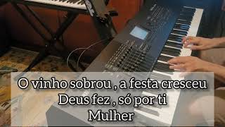 NA FESTA DA VIDA SEM PAR  Piano Instrumental [upl. by Earehs]