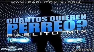 Pablito Mix amp Daddy Yankee  Cuantos Quieren Perreo Mixeo 2011 Special Edition [upl. by Herrah]