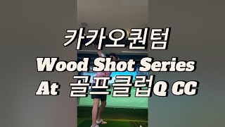 카카오퀀텀 Wood Shot Series At 골프클럽Q CC [upl. by Ericka]