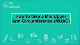 How to take a Mid Upper Arm Circumference MUAC [upl. by Hephzibah511]