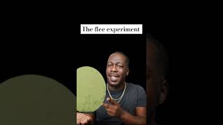 Breaking Invisible Barriers The Flea Experiment Explained [upl. by Adieno]