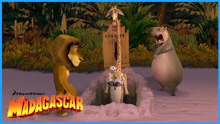 How to Escape the Island of Madagascar  DreamWorks Madagascar [upl. by Leen]