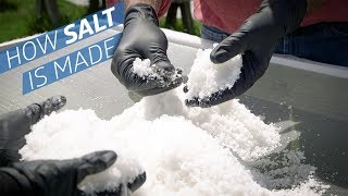 Where Does Salt Come From — How to Make It [upl. by Hillegass]