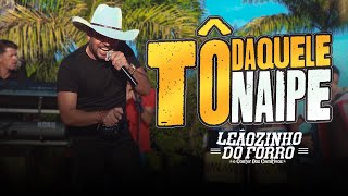 Leãozinho do Forró  Tô Daquele Naipe  Vídeo Oficial 🤠 [upl. by Desiree]