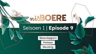 nisBOERE 1  Episode 9  Skoenlappers Proteas en Heuning [upl. by Ayalahs]