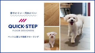 【QUICKSTEP】小型犬が滑りにくいオーク挽板フローリング [upl. by Airrej587]