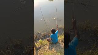 Amazing Two Boys catching big fish by hook trap trapfishing catchfish hookfishing shorts [upl. by Dikmen]