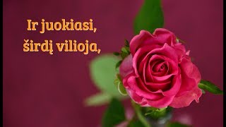 Sveikinu su Kovo 8 ąja  🌷♫♬♪❤ [upl. by Baruch115]