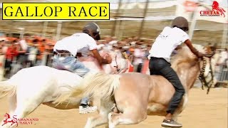 GALLOP HORSE RACE  SARANGKHEDA 2018  Indian Horses [upl. by Aneeuqal]