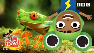 Can You Say Frog 🐸  Learn Animal Words with Dee  Yakka Dee [upl. by Notnroht]