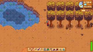 Get Lots of Hardwood by planting your Mahogany Seeds  Stardew Valley 16 [upl. by Nosreve815]