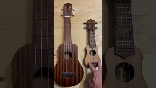 Nano Ukulele vs Soprano Ukulele [upl. by Leventhal]