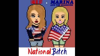 Lana Del Rey  Marina and the Diamonds  National Bitch Mashup [upl. by Orutra]