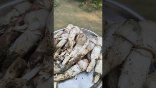 Mushroom 🍄 ঘরের ভিটেতে মাশরুম ফুটেছেshortvideo [upl. by Eillen871]