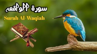 Surah AlWaqiah Full  Muhammad Dibirov HDWith Arabic Textسورة الواقعة  IQRA ALQURAN tilawate [upl. by Nerral]