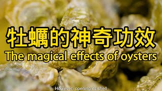 牡蠣的功效與作用 The efficacy and function of oysters [upl. by Nonnelg]