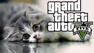 GTA V  TOUS LES PEYOTES  LE CHAT [upl. by Martel]