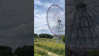 157葛西臨海公園② Kasai Rinkai Park ひまわり 東京湾 江戸川区 東京 パノラマ [upl. by Hijoung]