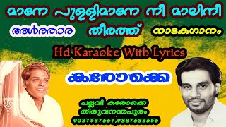 Maane Pullimaane NeeDemoNew Hd Karaoke With LyricsNadakaGanamAlthaara [upl. by Frere580]