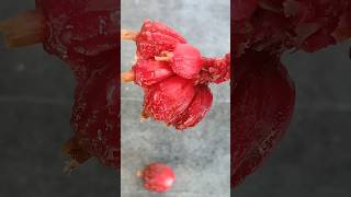 Elaichi plant black cardamom gardening short youtube spices [upl. by Aldon]