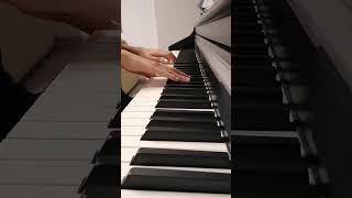 Amelie – Piano Cover by Crescendo Keys piano pianocover music [upl. by Enetsirk526]