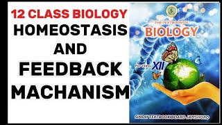 Homeostasis and feedback mechanism class 12sindhboard [upl. by Yme]