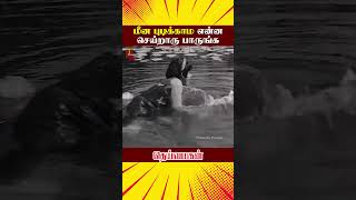 மீன் புடிக்காம என்ன செய்றாரு பாருங்க  Deiva Magan Tamil Movie Scenes  Sivaji  ytshorts [upl. by Pattin]