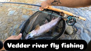 Chilliwack river fly fishing for salmon [upl. by Pandolfi]