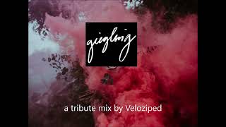 Giegling  Traumprinz Tribute Mix by Veloziped [upl. by Nilsoj]