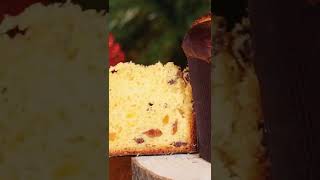 How to make Italian Panettone recipe Easy way shorts [upl. by Anisamot97]