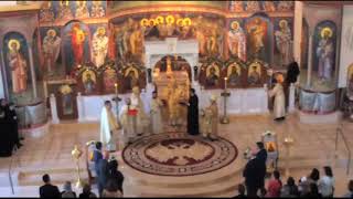 Antiochian Orthodox Christian Archdiocese of North America Live Stream [upl. by Monda]