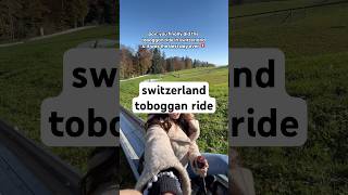 bucket list toboggan ride in switzerland ✅🇨🇭 swizterland toboggan tobogganing [upl. by Euqirat985]