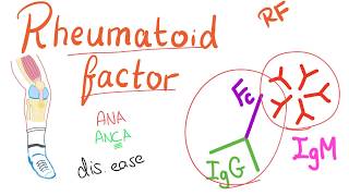 Rheumatoid Factor RF  Rheumatoid Arthritis RA  Joint disease Rheumatology series [upl. by Rorke315]