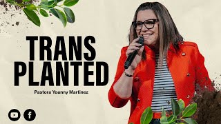 TRASPLANTED  Pastora Yoanny Martinez [upl. by Ramad]