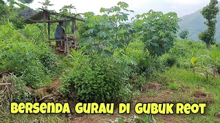 Di gubuk reot ini kita berteduh tanaman jagungpadi amp rumput mulai menghijau semenjak hujan turun [upl. by Kore578]