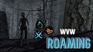 Gw2 WvW  Multiclass roamingoutnumbered [upl. by Saideman491]