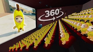 Banana Cat 360°  CINEMA HALL  VR360° Experience [upl. by Meingolda]