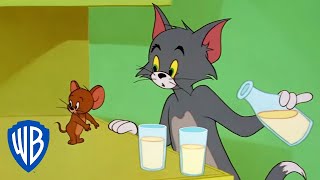 Tom y Jerry en Latino  Tom y Jerry en pantalla grande  WB Kids [upl. by Eiralc303]