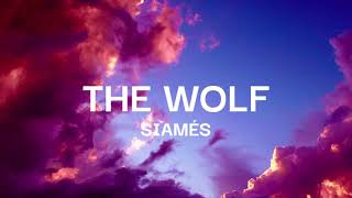 SIAMES  The Wolf Lyrics [upl. by Anallij772]