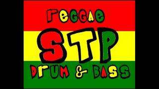 3 LITTLE BIRDS BOB MARLEY STP DRUM N BASS RMX [upl. by Konrad]