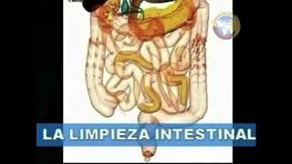 Limpieza intestinal [upl. by Celestia778]