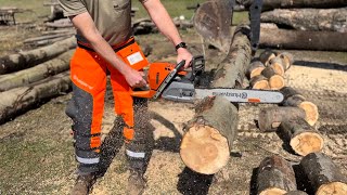 Stihl vs Husqvarna  Chainsaw Comparison Firewood [upl. by Candless]