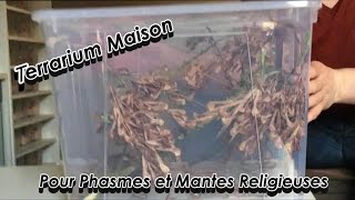 Tuto  Terrarium Maison pour insectes Phasmes et Mantes [upl. by Nyrroc]