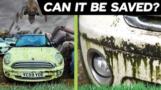 Detailing this ABANDONED Mini Cooper Can it be saved [upl. by Maddocks519]