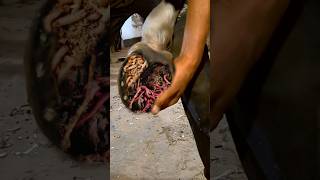 You WON’T BELIEVE What Was HIDING in This DIRTY Hoof 😱 horse hoofcleaning hoof horsecare [upl. by Aerdno959]