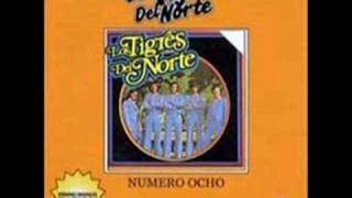 Los Tigres del Norte  El Pájaro Prieto [upl. by Nikal]