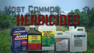 Five Most Common Food Plot Herbicides [upl. by Mishaan918]