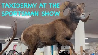 Taxidermy at The Sportsman Show [upl. by Neelrihs987]