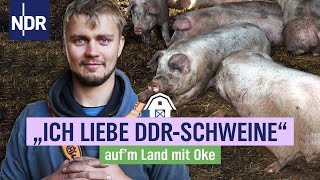 Okes Arche auf Amrum Wie das Leicoma Schwein auf die Insel kam  NDR aufm Land mit Oke  Folge 4 [upl. by Sirotek]