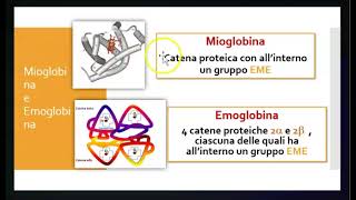 Proteine globulari [upl. by Sihtnyc]